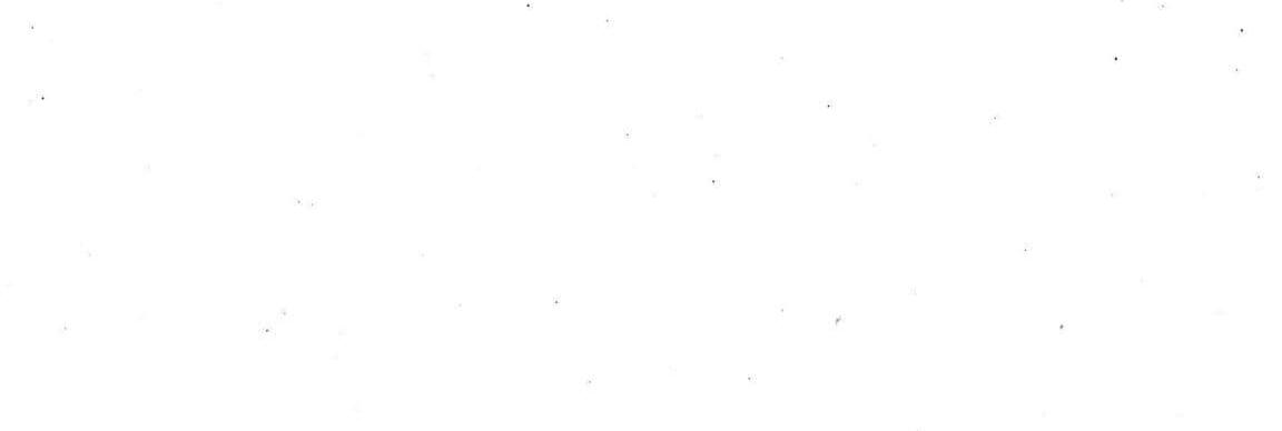 ♡⃛ I am a low-energy person so I usually reply the DM late. I am sensitive when I make mistakes. I usually share a lot of posts and I didn't serious about the position of any ship. I am fine with every position. (not for same bloodline ship kub